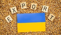 Експорт українського зерна: майже 40% пшениці прямує до Алжиру