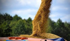 Соєвий комплекс демонструє внутрішню асиметрію