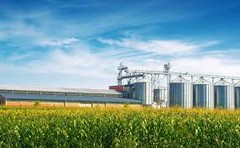 Компанії українського агросектору на другому місці за кількістю іноземних власників — Опендатабот