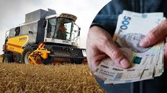 Агрокомпанії в Україні підняли зарплати: хто може заробляти 36 тисяч гривень на місяць