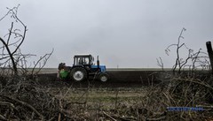 Витрати аграріїв на посівну зросли приблизно на 5% - Мінекономіки