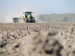 Аграрії Запорізької області зменшують посіви через війну