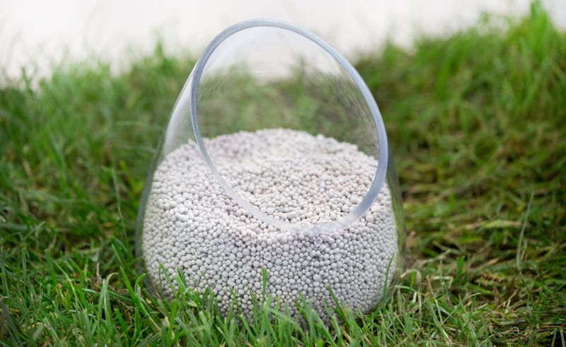 Світові ціни на добрива можуть зрости на 15-20% у першій половині 2026 року, – ФАО