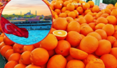 Імпортуємо цитрусові — експортуємо ягоди: як змінюється фруктовий ринок України