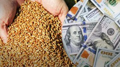 У портах Великої Одеси подешевшала продовольча пшениця