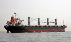 Єгипет відмовився від 800 тис. т пшениці рф